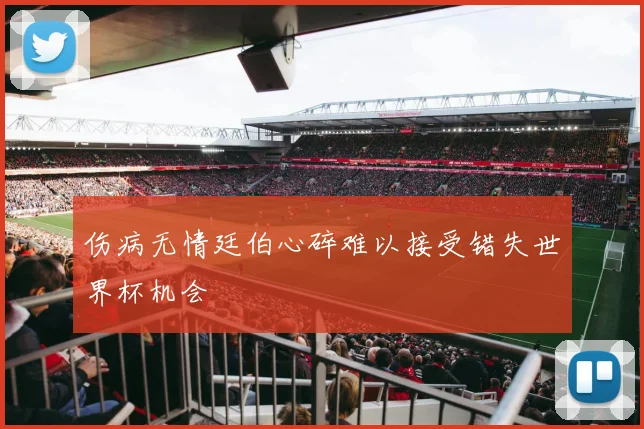 伤病无情廷伯心碎难以接受错失世界杯机会