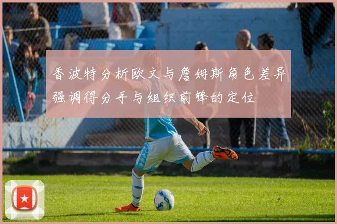 香波特分析欧文与詹姆斯角色差异强调得分手与组织前锋的定位