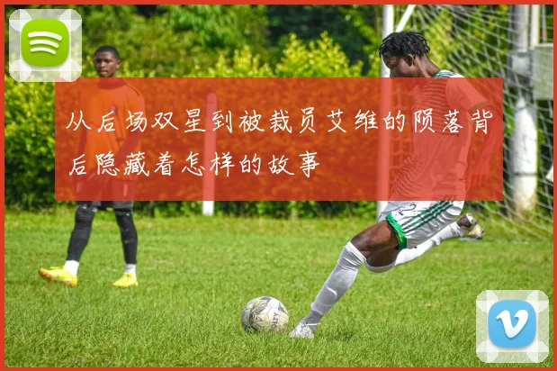 从后场双星到被裁员艾维的陨落背后隐藏着怎样的故事